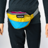 Retro Hip Pack