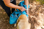 Pathfinder EZ Latch Dog Pack (2-piece)