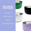 White Dog Bowl