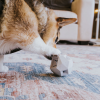 The Odin - Modern Treat Dispensing Dog Puzzle