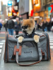 Mr. Peanut's Gold Series Big Apple Size Expandable Pet Carrier