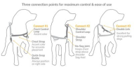 Omni Multi-Connection Harness