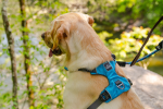 Millvue EZ Fit Dog Harness