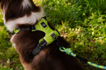 Millvue EZ Fit Dog Harness