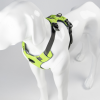 Millvue EZ Fit Dog Harness