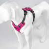 Millvue EZ Fit Dog Harness