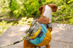 Adventurer Dog Pack (1-piece)