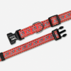 Natchez Pattern Dog Collar