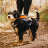 Adventurer 2-piece Dog Pack With EZ Latch  Harness