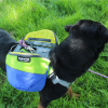 Adventurer 2-piece Dog Pack With EZ Latch  Harness