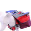 Adventurer 2-piece Dog Pack With EZ Latch  Harness