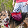 Adventurer 2-piece Dog Pack With EZ Latch  Harness