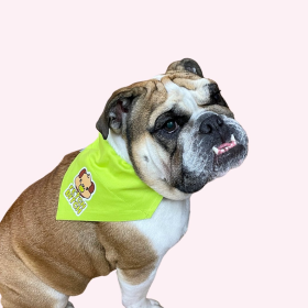 "Fetch Bitch" Lime Green Collar Bandana (Color: , size: large)