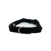 Black Martingale Collar