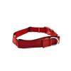 Red Martingale Collar