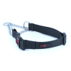 Play Martingale Collar