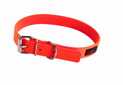 Play Regular Collar (Color: Orange, size: 12"x3/4")